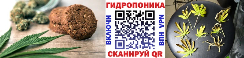 Купить закладки  Судогда  Cannafood конопля 